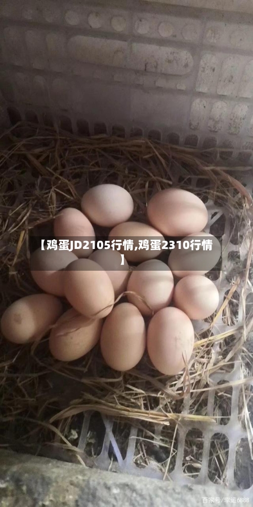 【鸡蛋JD2105行情,鸡蛋2310行情】