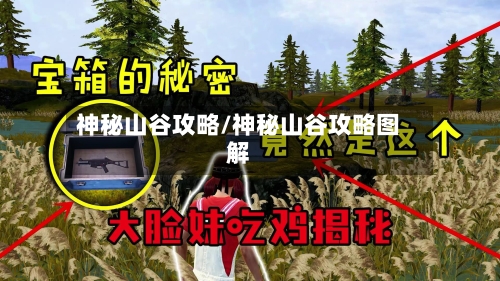 神秘山谷攻略/神秘山谷攻略图解