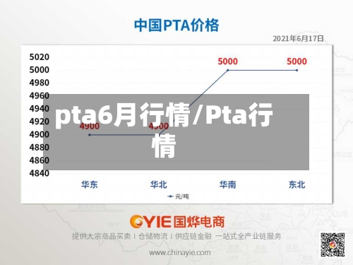 pta6月行情/Pta行情