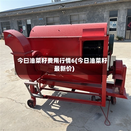 今曰油菜籽费用行情6(今日油菜籽最新价)-第3张图片