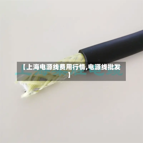 【上海电源线费用行情,电源线批发】
