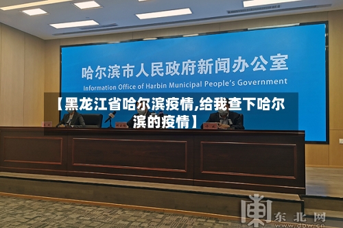 【黑龙江省哈尔滨疫情,给我查下哈尔滨的疫情】-第2张图片