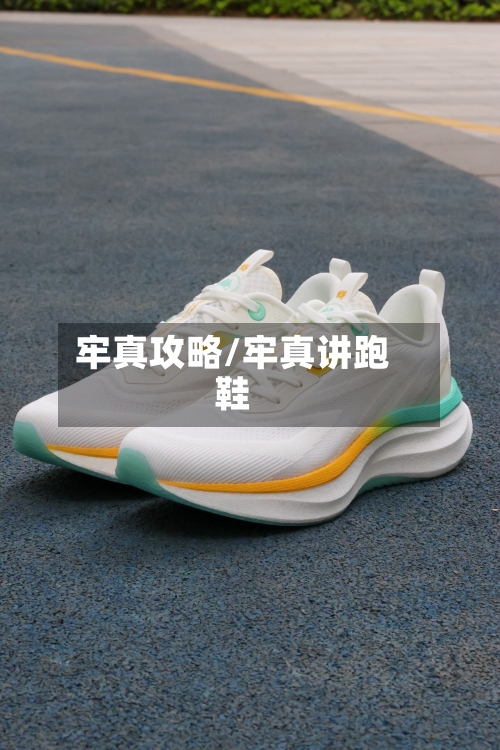 牢真攻略/牢真讲跑鞋