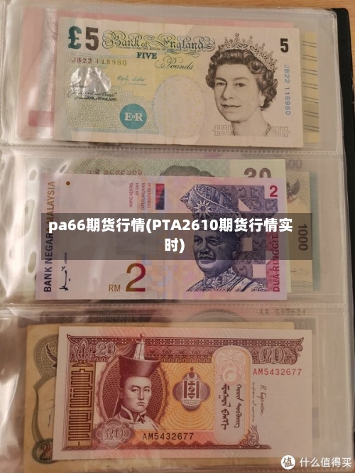 pa66期货行情(PTA2610期货行情实时)