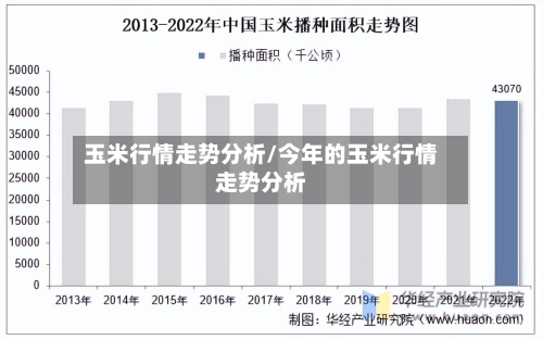 玉米行情走势分析/今年的玉米行情走势分析-第2张图片