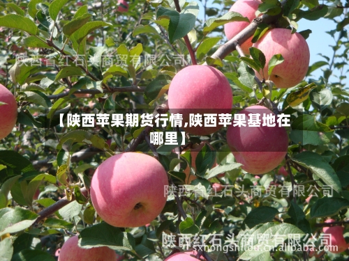 【陕西苹果期货行情,陕西苹果基地在哪里】
