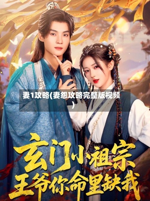 妻1攻略(妻怨攻略完整版视频)-第3张图片