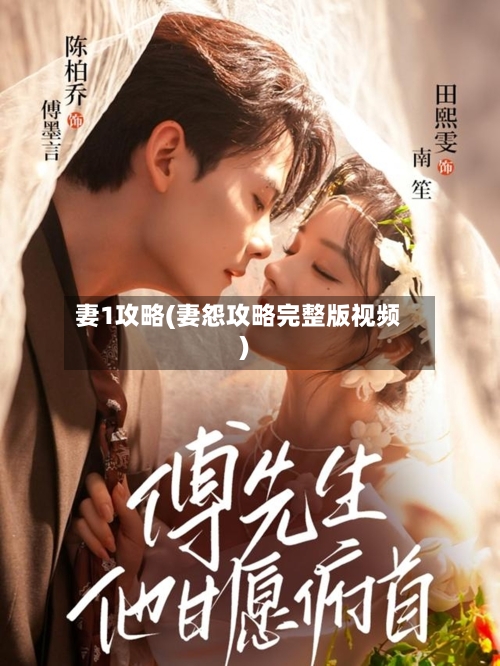 妻1攻略(妻怨攻略完整版视频)-第2张图片