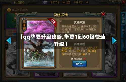 【qq华夏升级攻略,华夏1到60级快速升级】-第3张图片
