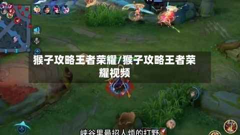 猴子攻略王者荣耀/猴子攻略王者荣耀视频-第3张图片