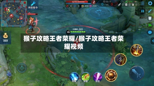 猴子攻略王者荣耀/猴子攻略王者荣耀视频