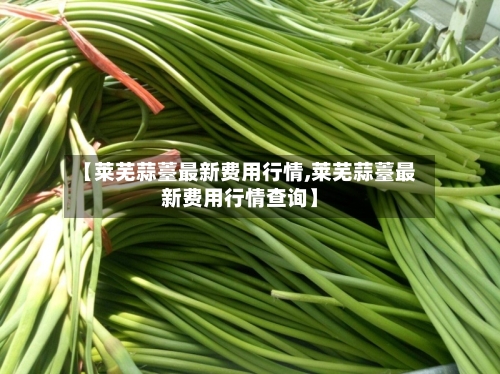 【莱芜蒜薹最新费用行情,莱芜蒜薹最新费用行情查询】-第2张图片