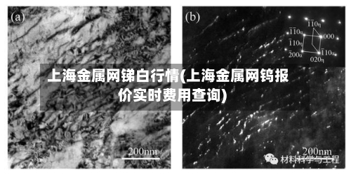上海金属网锑白行情(上海金属网钨报价实时费用查询)