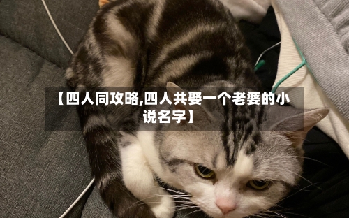 【四人同攻略,四人共娶一个老婆的小说名字】