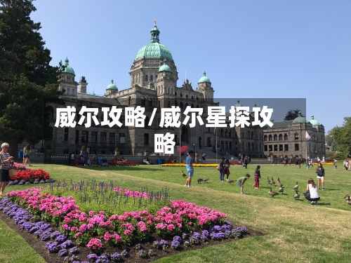 威尔攻略/威尔星探攻略-第2张图片