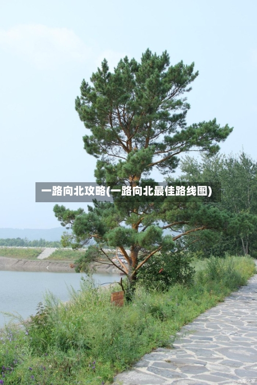 一路向北攻略(一路向北最佳路线图)