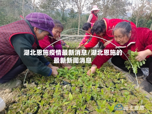 湖北恩施疫情最新消息/湖北恩施的最新新闻消息-第2张图片