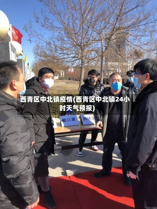 西青区中北镇疫情(西青区中北镇24小时天气预报)-第2张图片