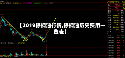 【2019棕榈油行情,棕榈油历史费用一览表】