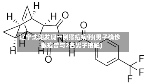 辽宁沈阳发现一例猴痘病例(男子确诊猴痘曾与2名男子接触)-第3张图片