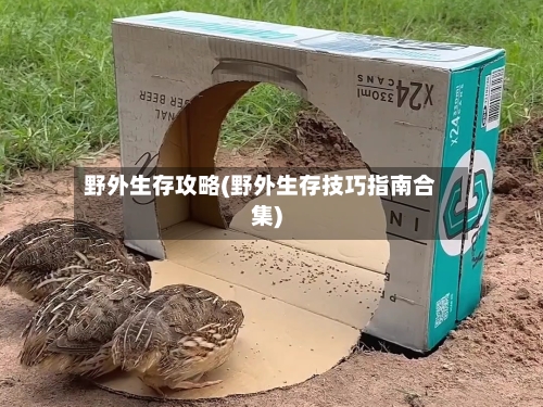 野外生存攻略(野外生存技巧指南合集)-第2张图片