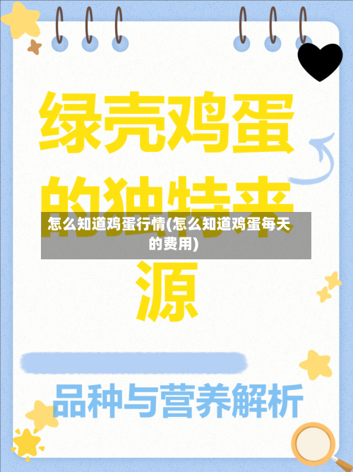 怎么知道鸡蛋行情(怎么知道鸡蛋每天的费用)