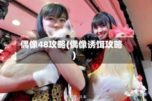 偶像48攻略(偶像诱饵攻略)