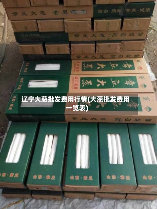 辽宁大葱批发费用行情(大葱批发费用一览表)