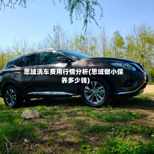 思域洗车费用行情分析(思域做小保养多少钱)
