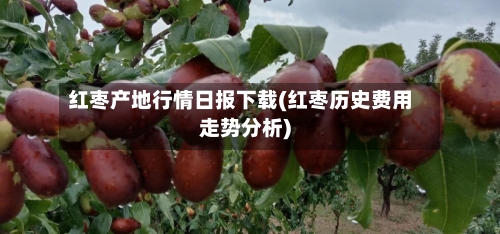 红枣产地行情日报下载(红枣历史费用走势分析)
