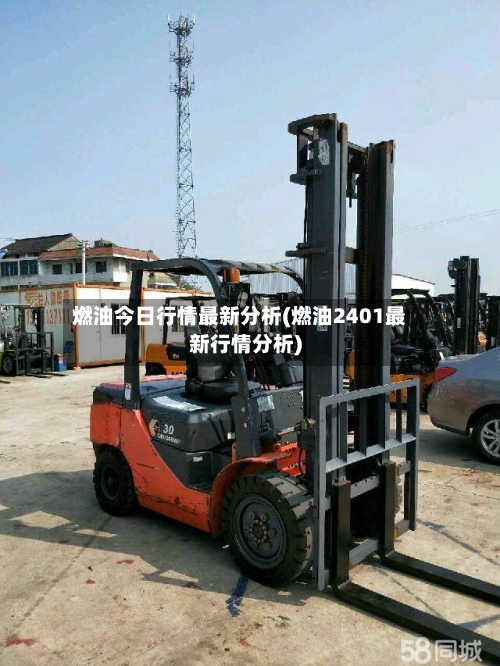燃油今日行情最新分析(燃油2401最新行情分析)