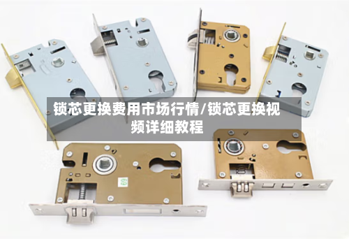 锁芯更换费用市场行情/锁芯更换视频详细教程
