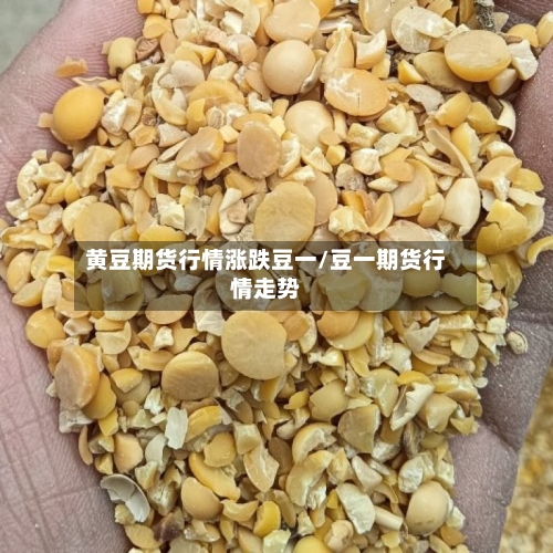 黄豆期货行情涨跌豆一/豆一期货行情走势-第2张图片