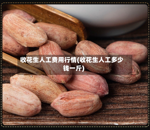 收花生人工费用行情(收花生人工多少钱一斤)-第3张图片