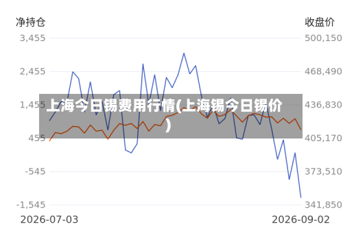 上海今日锡费用行情(上海锡今日锡价)