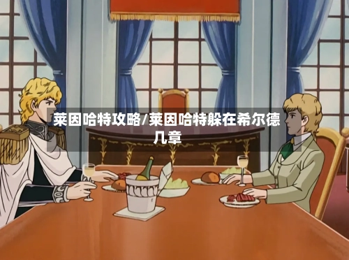 莱因哈特攻略/莱因哈特躲在希尔德几章-第2张图片