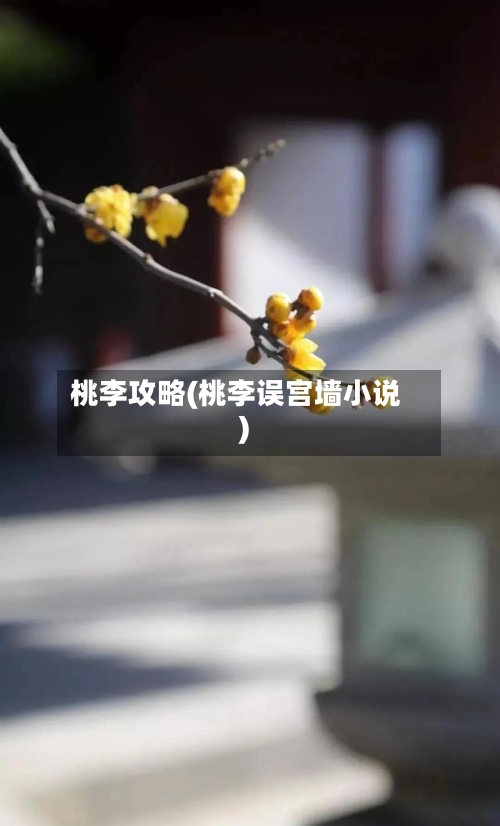 桃李攻略(桃李误宫墙小说)-第3张图片