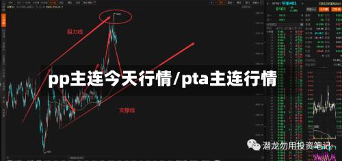 pp主连今天行情/pta主连行情-第2张图片