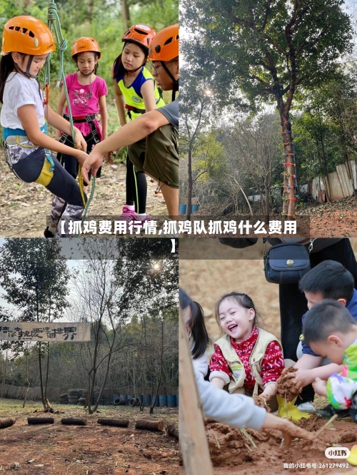 【抓鸡费用行情,抓鸡队抓鸡什么费用】