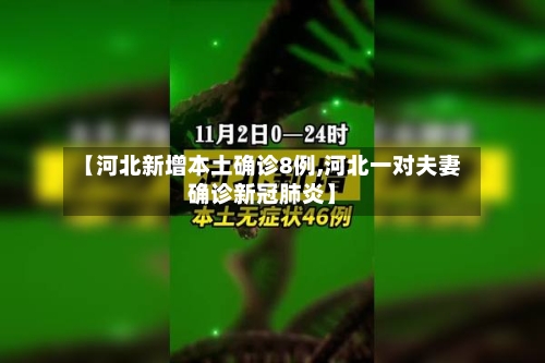 【河北新增本土确诊8例,河北一对夫妻确诊新冠肺炎】-第2张图片