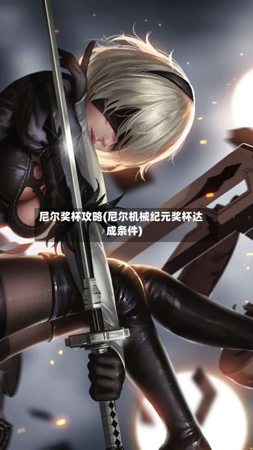 尼尔奖杯攻略(尼尔机械纪元奖杯达成条件)