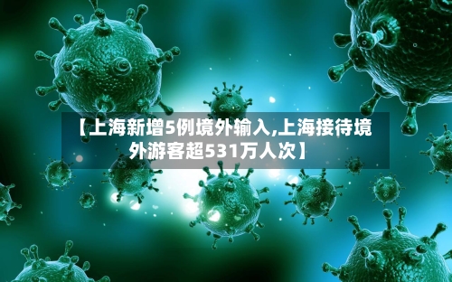 【上海新增5例境外输入,上海接待境外游客超531万人次】-第2张图片