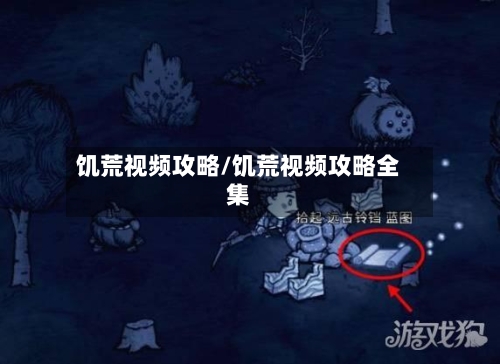 饥荒视频攻略/饥荒视频攻略全集