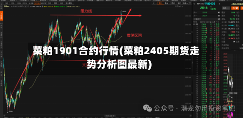 菜粕1901合约行情(菜粕2405期货走势分析图最新)