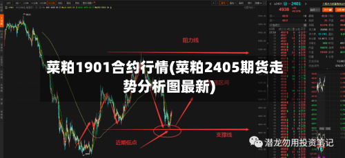 菜粕1901合约行情(菜粕2405期货走势分析图最新)-第2张图片