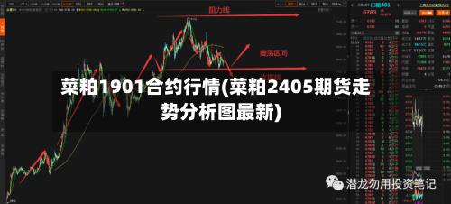 菜粕1901合约行情(菜粕2405期货走势分析图最新)-第3张图片