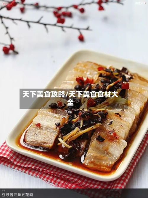 天下美食攻略/天下美食食材大全