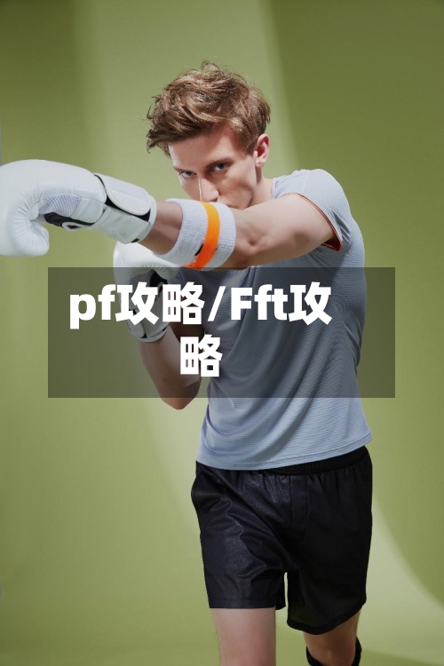 pf攻略/Fft攻略-第2张图片