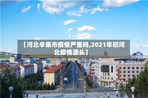 【河北辛集市疫情严重吗,2021年初河北疫情源头】
