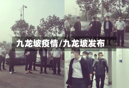 九龙坡疫情/九龙坡发布